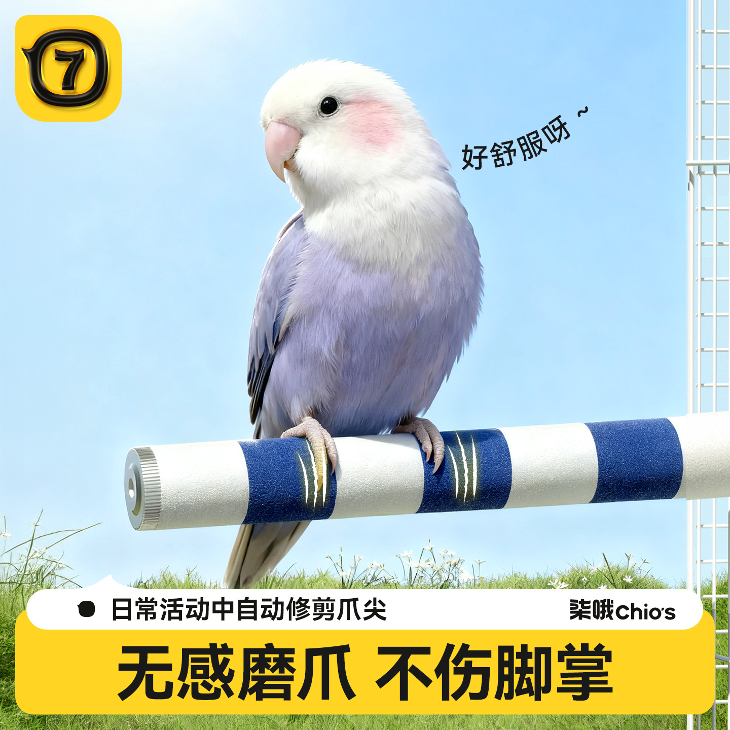 鹦鹉磨爪站杆专用磨砂站棍