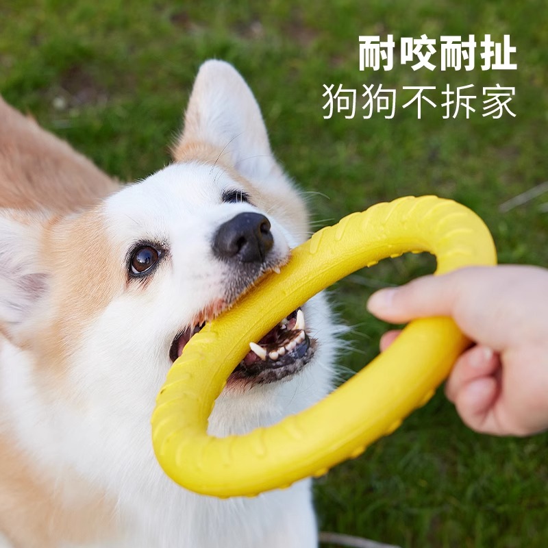 超耐咬互动飞盘狗狗玩具
