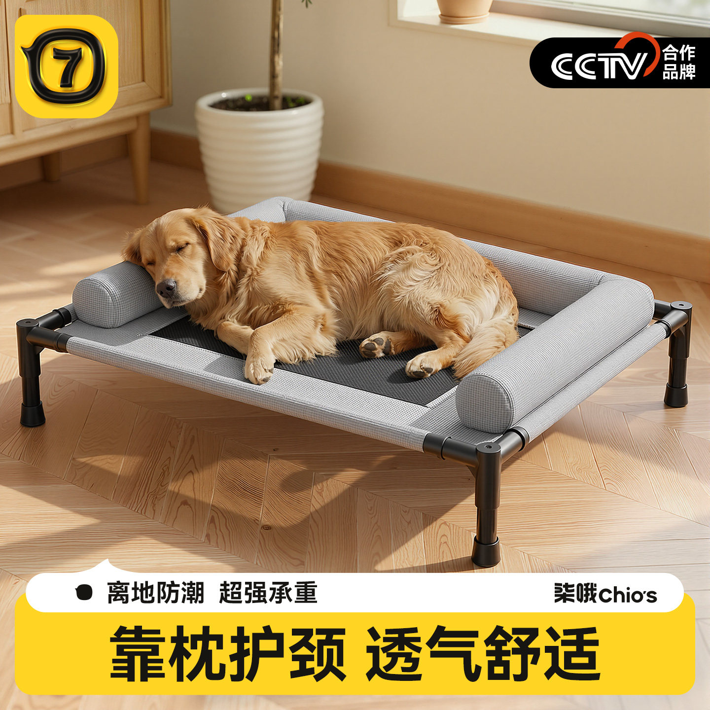 狗狗行军床狗窝离地四季通用可拆洗狗床小型犬室外大型宠物床睡窝