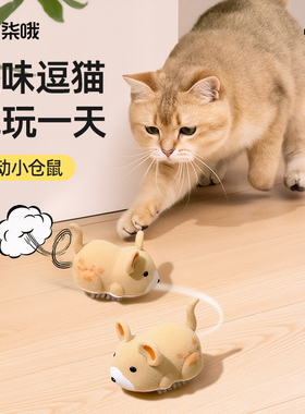猫咪玩具电动仿真小老鼠发声自嗨解闷神器逗猫棒小猫幼猫消耗体力