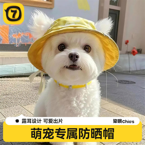 狗狗露耳朵卡爱渔夫帽