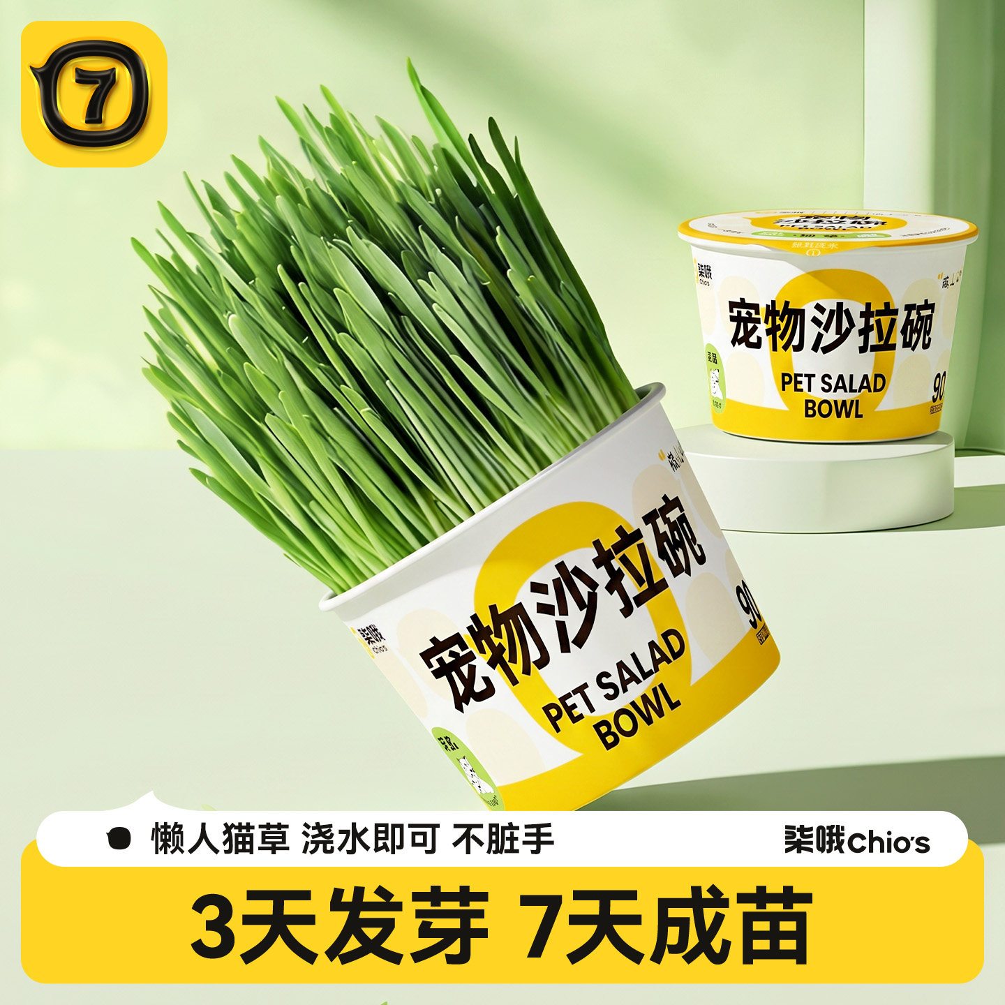 柒哦狗草盆栽懒人泡面猫草化毛球水培盒自种草小型犬猫狗专用零食