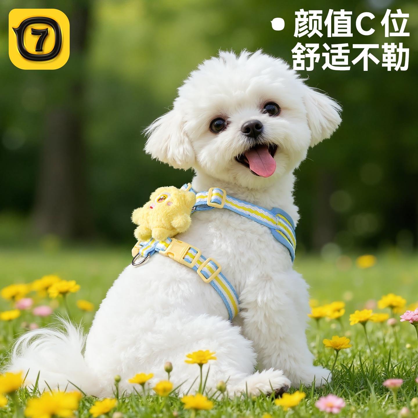 【小红书推荐】狗狗牵引绳图片