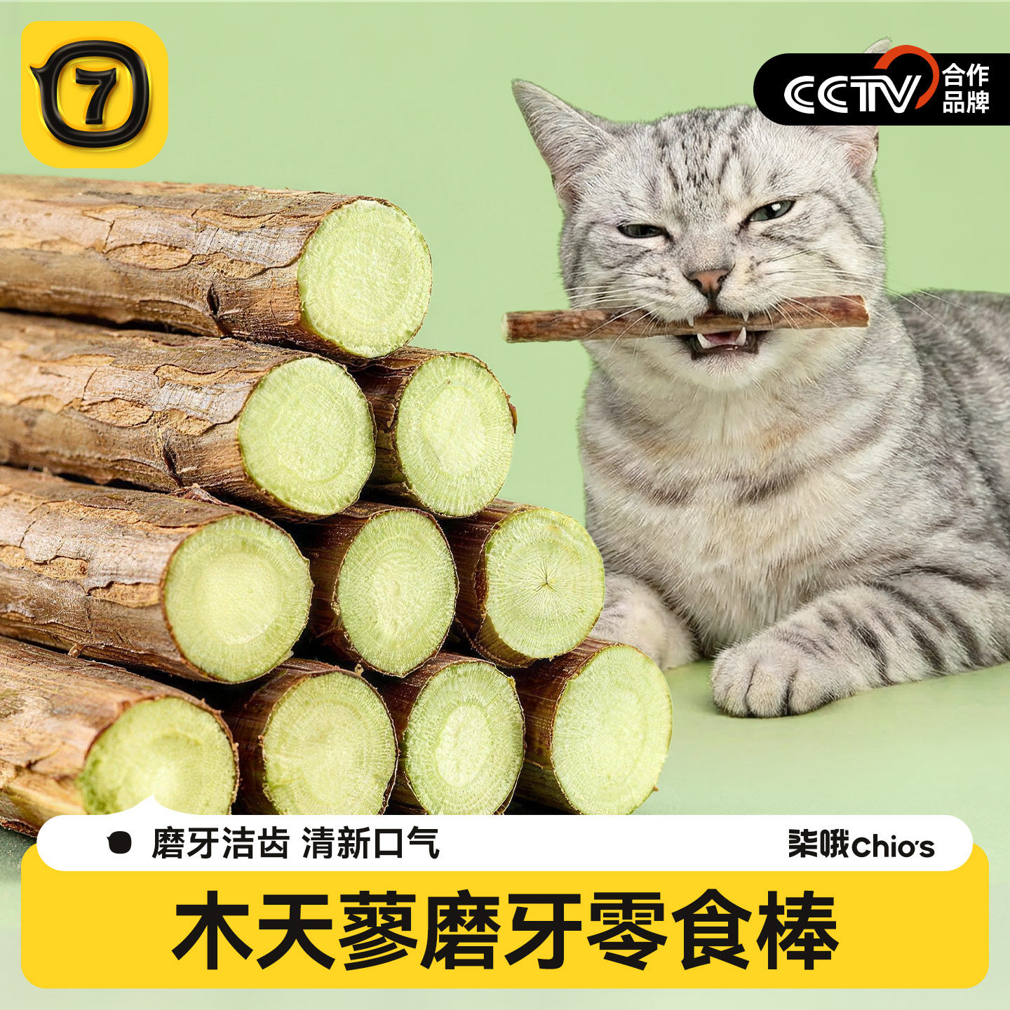 木天蓼猫咪磨牙棒猫薄荷洁齿幼猫啃咬逗猫棒换牙期用品猫零食玩具,宠物/宠物食品及用品,猫薄荷/木天蓼,淘宝优惠券,粉丝福利购,淘宝优惠卷