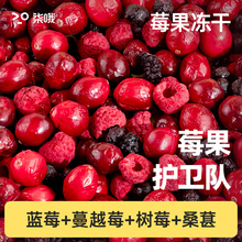狗狗零食莓果冻干宠物水果蔬菜冻干零食拌粮蔓越莓蓝训练奖励狗粮