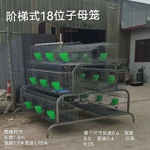 免清粪养殖场兔子子母笼