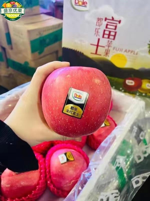 沈阳发货都乐富士苹果礼盒高端新鲜甜脆宝宝水果12粒8斤辽宁包邮