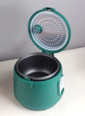 Electric rice cooker Mini rice cooker for one person, 2 peop