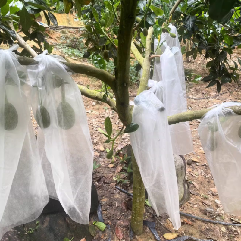 菠萝蜜套袋热带水果木菠萝防虫防寒专用一次性两头通套袋子专用大