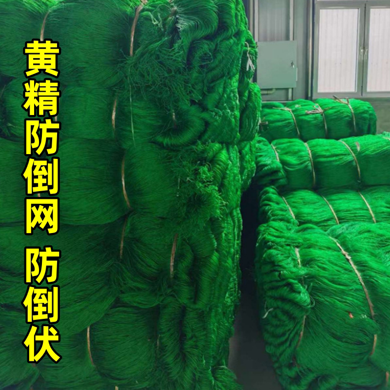 黄精防倒网防倒伏专用花卉葡萄树