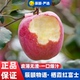 12个新鲜应季 辰颐物语山东栖霞红富士苹果4.5斤装 水果苹果坏赔
