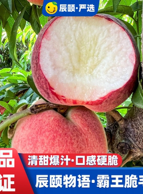 辰颐物语霸王脆毛桃非山西红不软脆桃水蜜桃脆桃子应季现摘鹰嘴桃