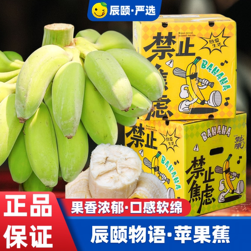 辰颐物语广西苹果蕉小胖蕉网红小香蕉威尼斯水果粉甜香蕉禁止蕉绿