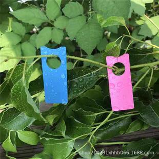 塑料植物标标签葡萄记号牌葡萄标卡瓜果记记牌西瓜标记牌艺园标签