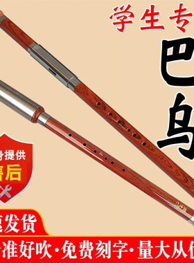 新款傣艺树脂横吹竖吹七孔巴乌A调降BC调G调F调学生成人初学入门
