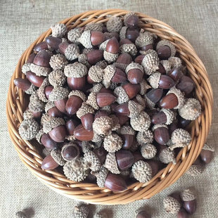 网店拍照拍摄天然树枝干花包松果橡果带钉手工diy装饰包装材料