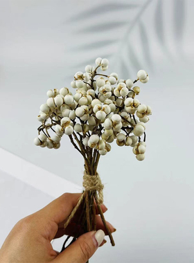 小白果干花白色薏米果乌桕果小清新花材DIY香薰蜡烛干花永生配材