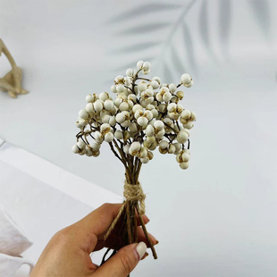 小白果干花白色薏米果乌桕果小清新花材DIY香薰蜡烛干花永生配材