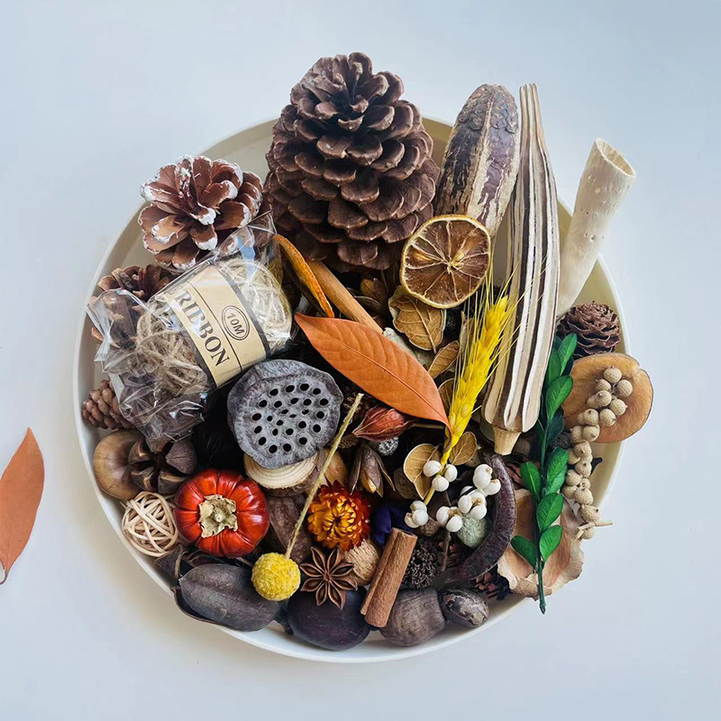 多种松果木片树叶干花diy