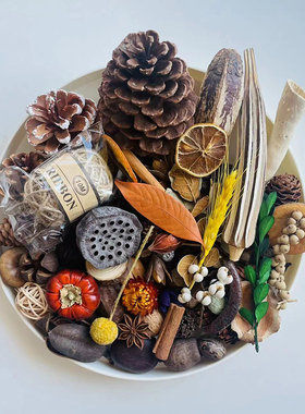 多种松果木片树叶干花diy
