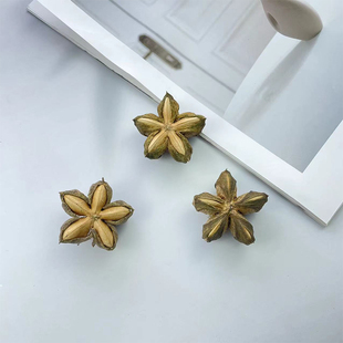 南美星油藤干果材料植物标本相框手工干花材料陈列装饰干果印加果