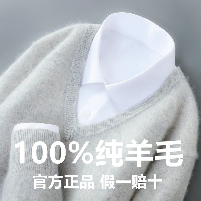 100%纯羊毛衫秋冬男v领毛衣宽松休闲大码套头保暖打底针织衫新款