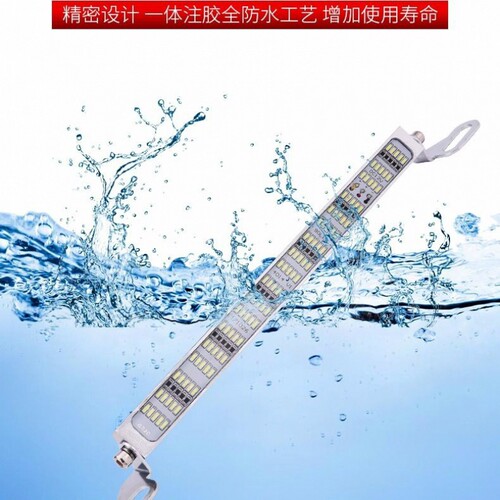 因为专注，所以专业！