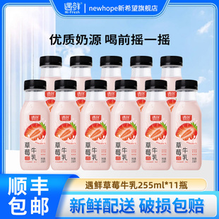 新希望遇鲜草莓牛乳255ml 11瓶低温儿童营养早餐奶 9瓶