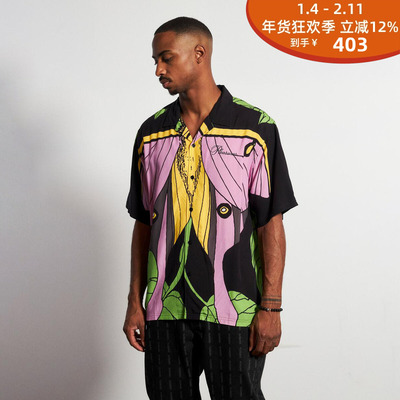 飞蛾扣叶子背景插画设计