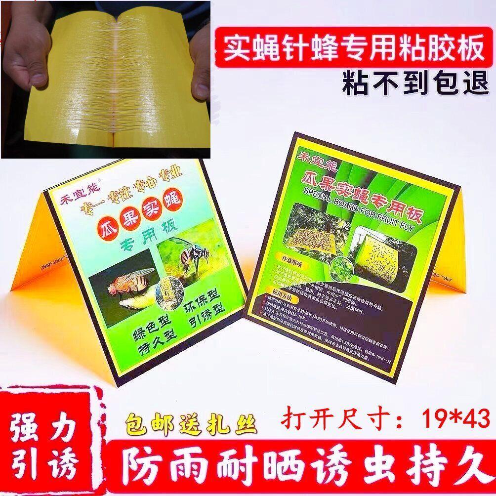 柑橘针蜂瓜果实蝇诱粘剂果树菜园