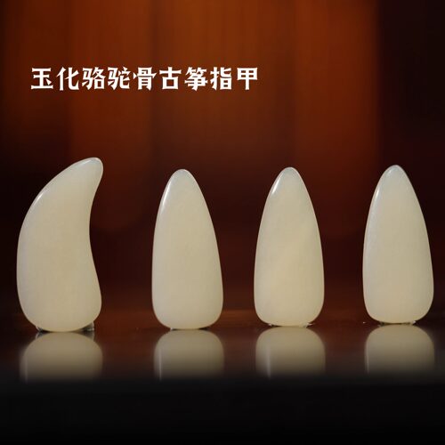 骆驼骨定做各种款式测试推荐