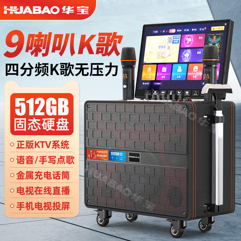 华宝Y29家庭KTV卡拉OK音箱K歌套装一体机家用唱歌户外广场舞音响