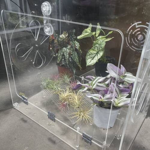 亚克力热植箱闷养箱喷淋柜热植缸热植柜亚克力保温箱花架