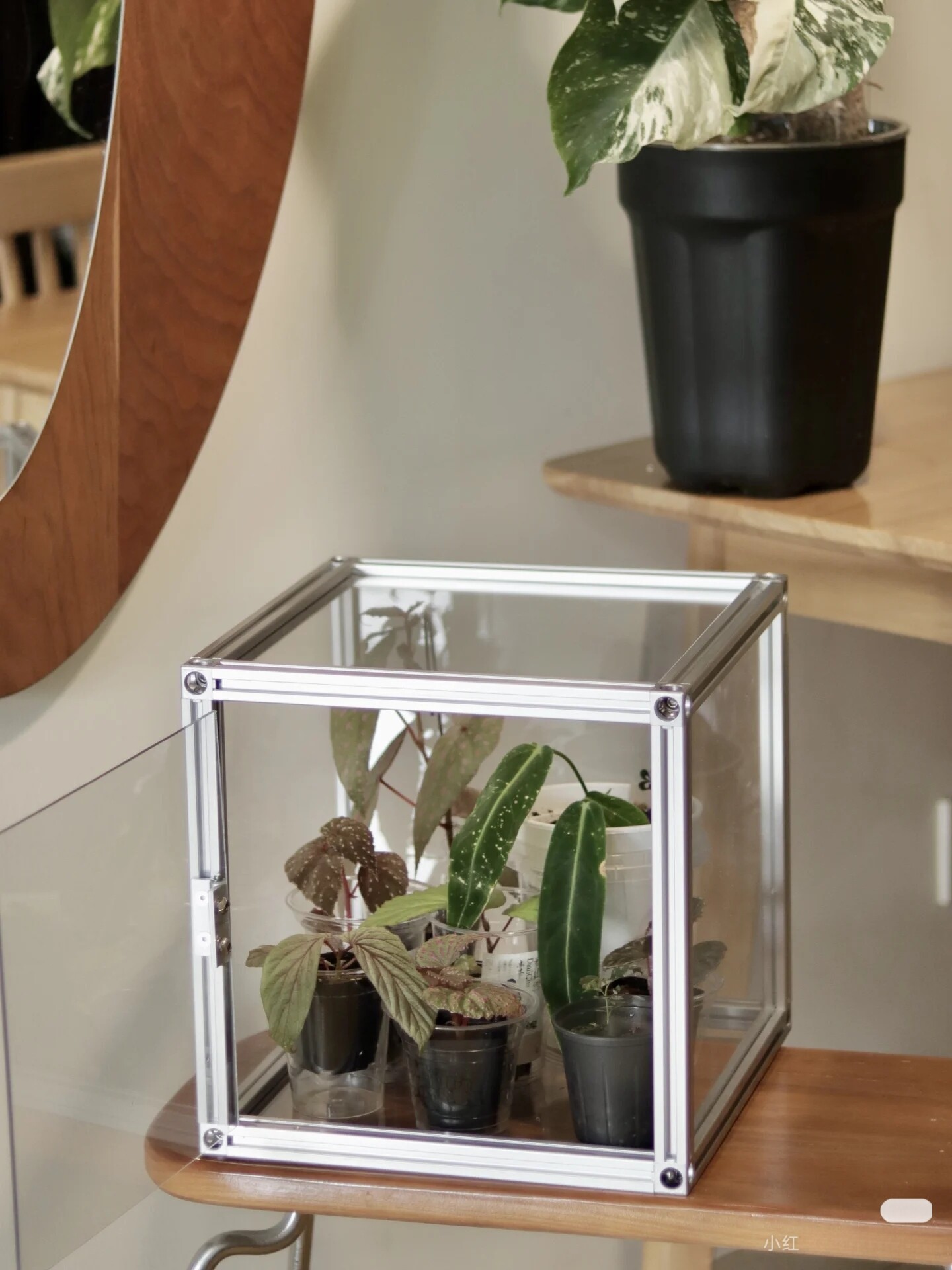 铝型材亚克力热植箱闷养箱植物闷养箱食虫植物闷养箱绿植闷养柜