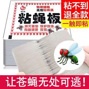 粘蝇纸苍蝇贴强力粘蝇板灭蝇子蚊子杀手克星捕捉器饭店家用一扫光