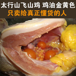 北京正宗农家散养土鸡2年老母鸡自养活鸡现杀月子鸡笨鸡术后滋补