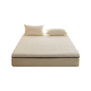 床垫软垫家用垫被床褥加厚法兰羊羔绒榻榻米垫子1.8铺底1.2米1.5