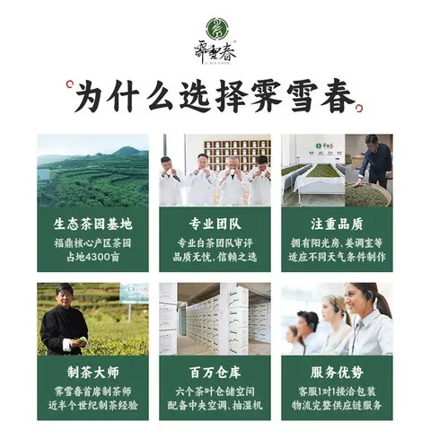 白茶散茶醇香2014年陈年老茶日晒枣香福鼎高山老贡眉茶叶