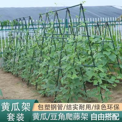 包塑钢管植物爬藤三角架电商代发搭架杆豆角黄瓜攀爬架花园瓜果架
