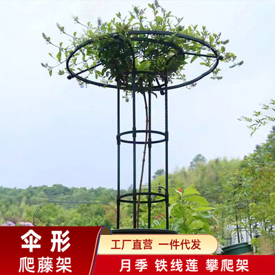 伞形花架月季爬藤架铁线莲铁艺支架阳台架子庭院户外玫瑰攀爬架