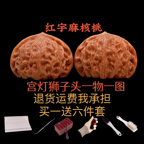 一物一图宫灯精品野生红皮老树