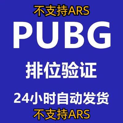Steam排位验证吃鸡验证PUBG