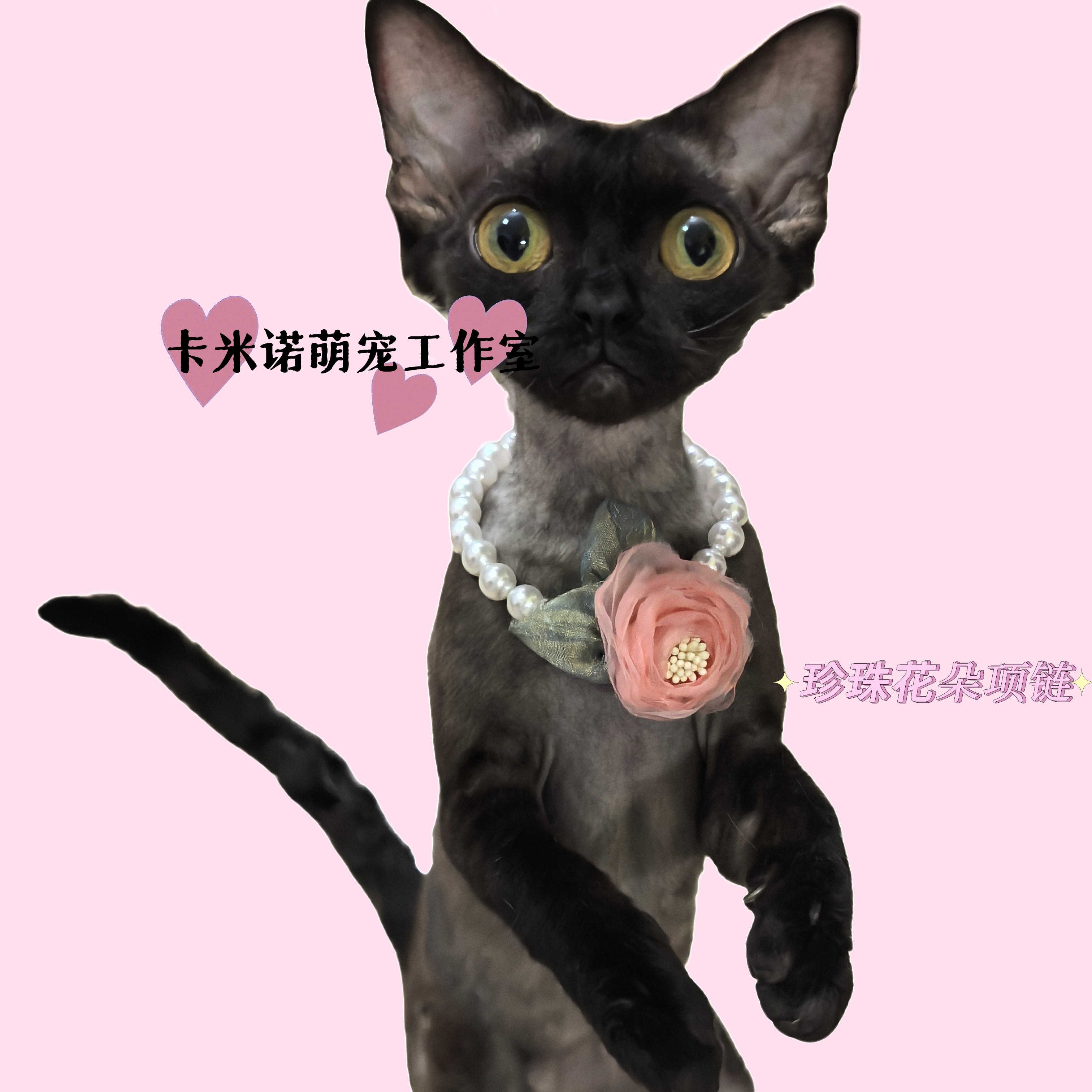 温柔风猫咪狗狗珍珠花朵围脖猫咪狗狗脖套拍照饰品项圈布偶猫花环