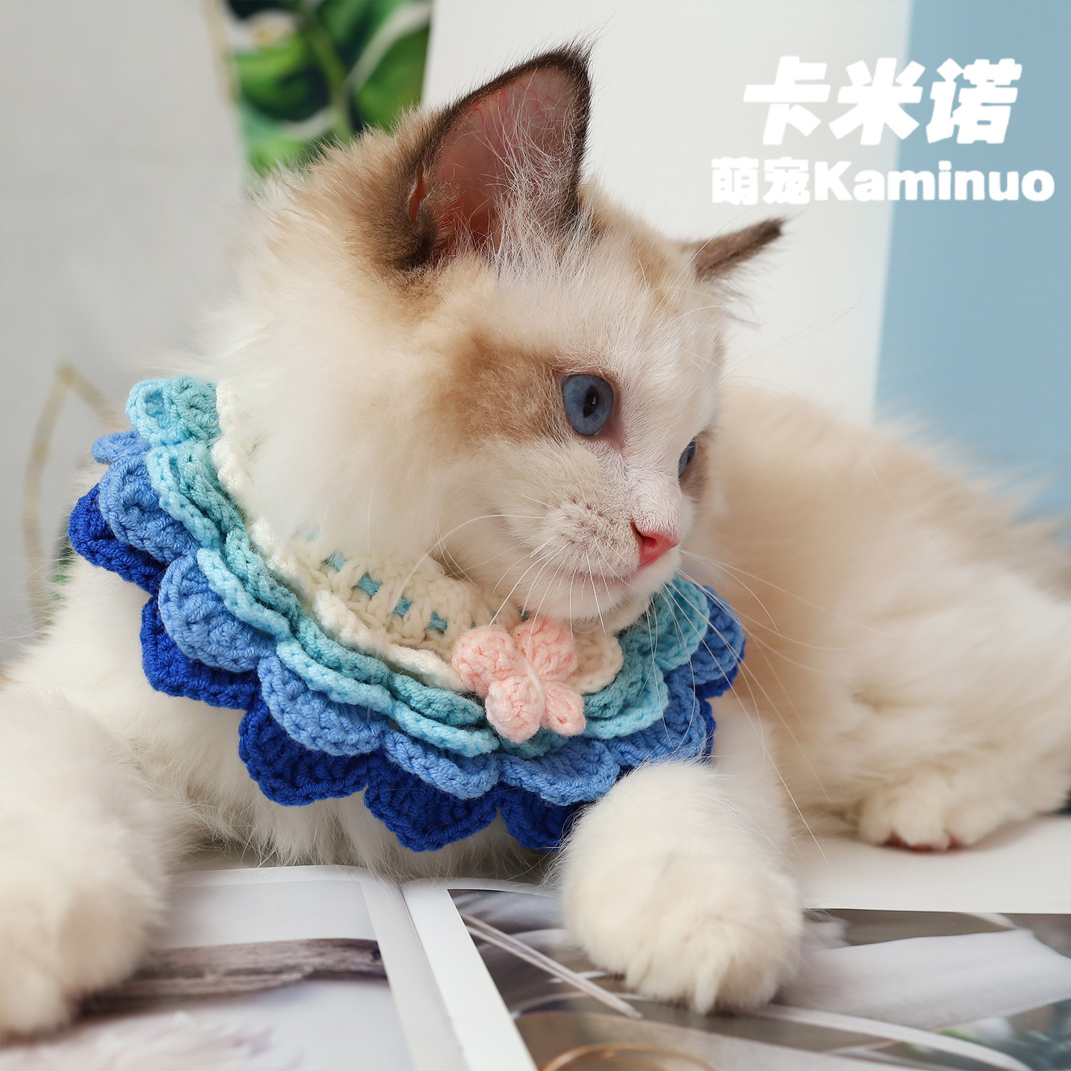 猫咪围脖宠物手工钩针饰品蝴蝶结渐变蓝布偶猫围巾项圈狗狗口水巾