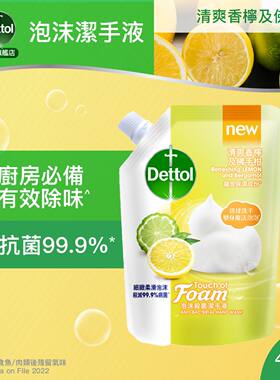 滴露泡沫洁手液补充装450ml