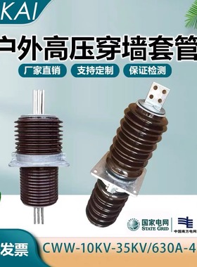 高压穿墙套管CWB10KV-20KV-35KV-66陶瓷绝缘FCGW/FCRG复合干式硅