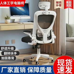 电脑椅子靠背办公室座椅宿舍大学生舒适久坐家用人体工学电竞转椅
