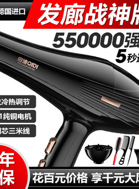 德国电吹风机家用大功率发廊专用理发店3500w负离子护发速干风筒