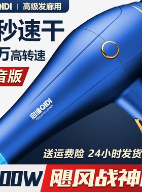 德国电吹风机家用大功率发廊专用3800w理发店速干负离子护发风筒