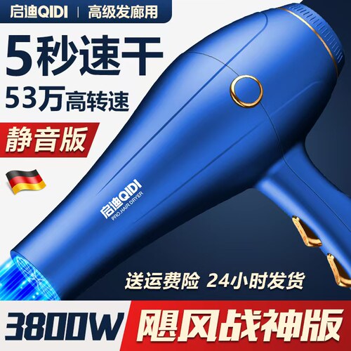 德国电吹风机家用大功率发廊专用3800w理发店速干负离子护发风筒